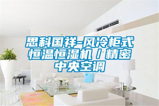 思科國祥-風冷柜式恒溫恒濕機/精密中央空調