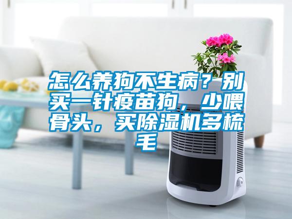 怎么養狗不生病?別買一針疫苗狗,少喂骨頭,買除濕機多梳毛