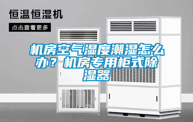 機房空氣濕度潮濕怎么辦?機房專用柜式除濕器