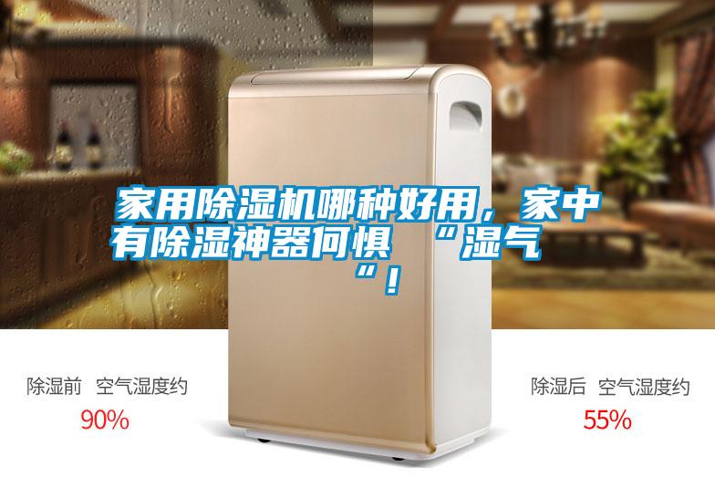 家用除濕機(jī)哪種好用，家中有除濕神器何懼 “濕氣 “！