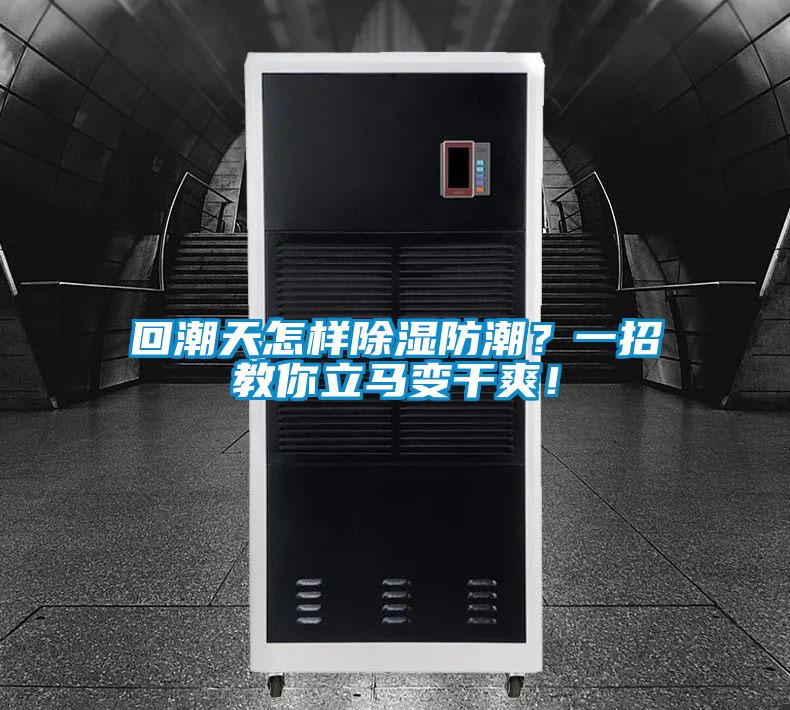 回潮天怎樣除濕防潮？一招教你立馬變干爽！