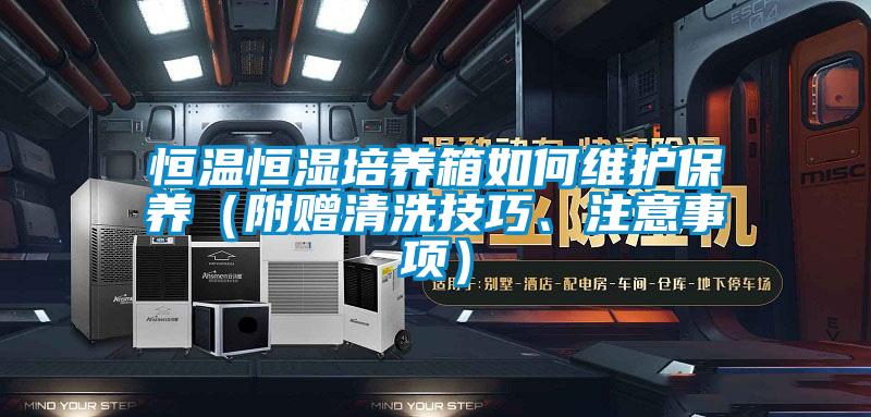 恒溫恒濕培養箱如何維護保養(附贈清洗技巧、注意事項)