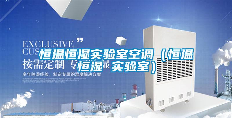 恒溫恒濕實驗室空調(恒溫恒濕 實驗室)