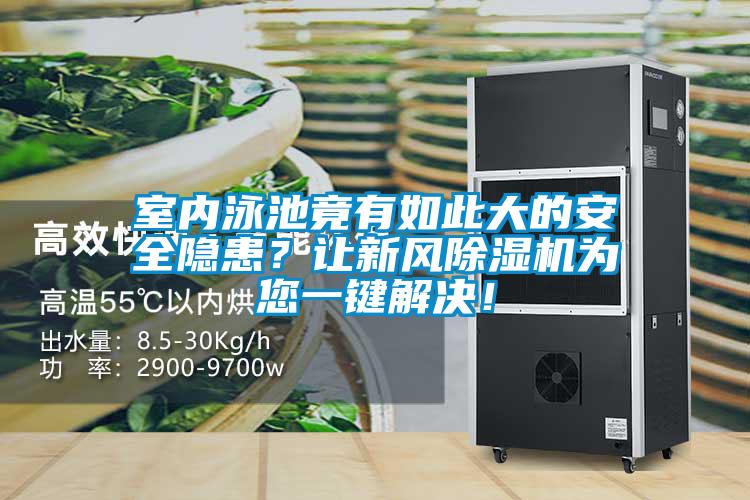 室內泳池竟有如此大的安全隱患?讓新風除濕機為您一鍵解決!