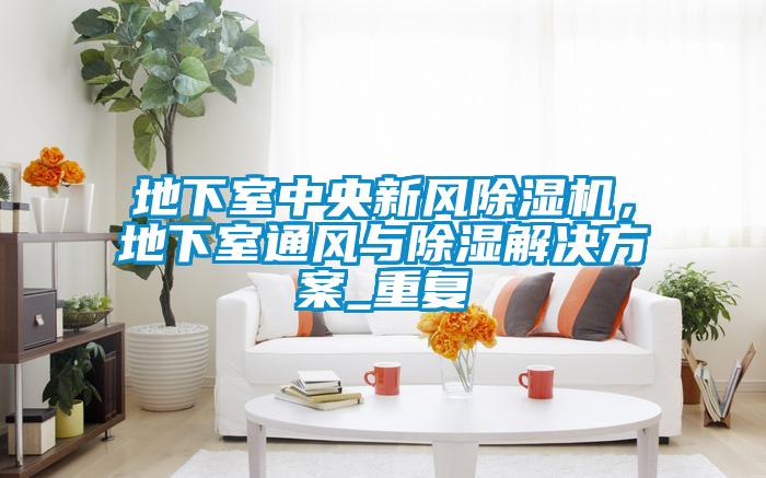 地下室中央新風除濕機，地下室通風與除濕解決方案_重復
