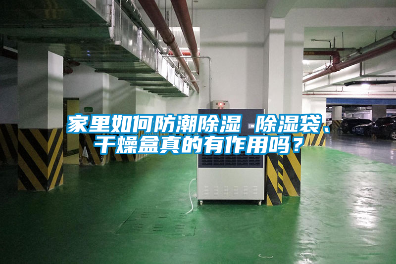 家里如何防潮除濕 除濕袋、干燥盒真的有作用嗎？