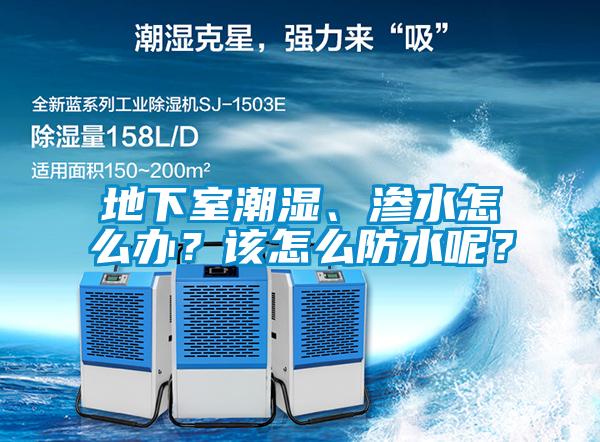 地下室潮濕、滲水怎么辦？該怎么防水呢？