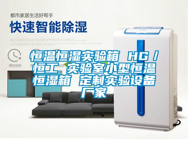 恒溫恒濕實驗箱 HG/恒工 實驗室小型恒溫恒濕箱 定制實驗設備廠家