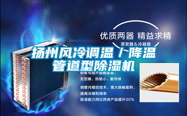 揚州風冷調溫/降溫管道型除濕機