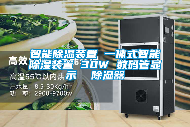 智能除濕裝置 一體式智能除濕裝置 30W 數(shù)碼管顯示 除濕器