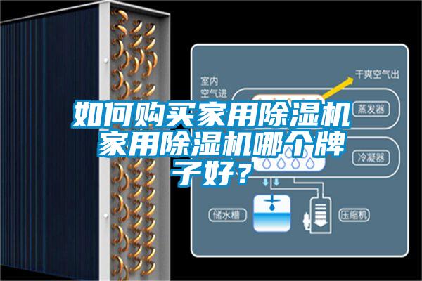 如何購買家用除濕機 家用除濕機哪個牌子好?