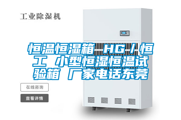 恒溫恒濕箱 HG/恒工 小型恒濕恒溫試驗箱 廠家電話東莞