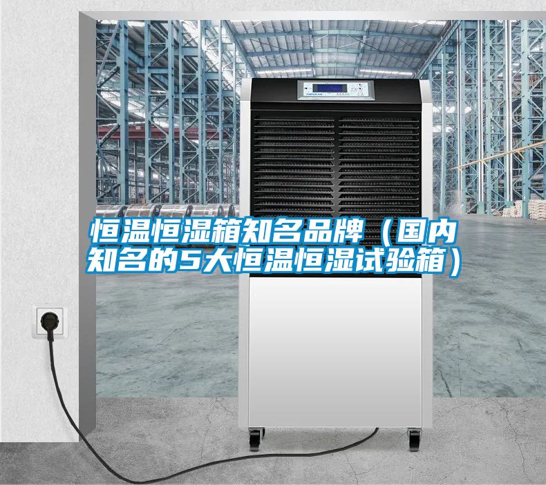 恒溫恒濕箱知名品牌(國內知名的5大恒溫恒濕試驗箱)