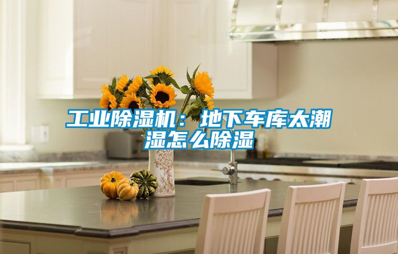 工業除濕機:地下車庫太潮濕怎么除濕