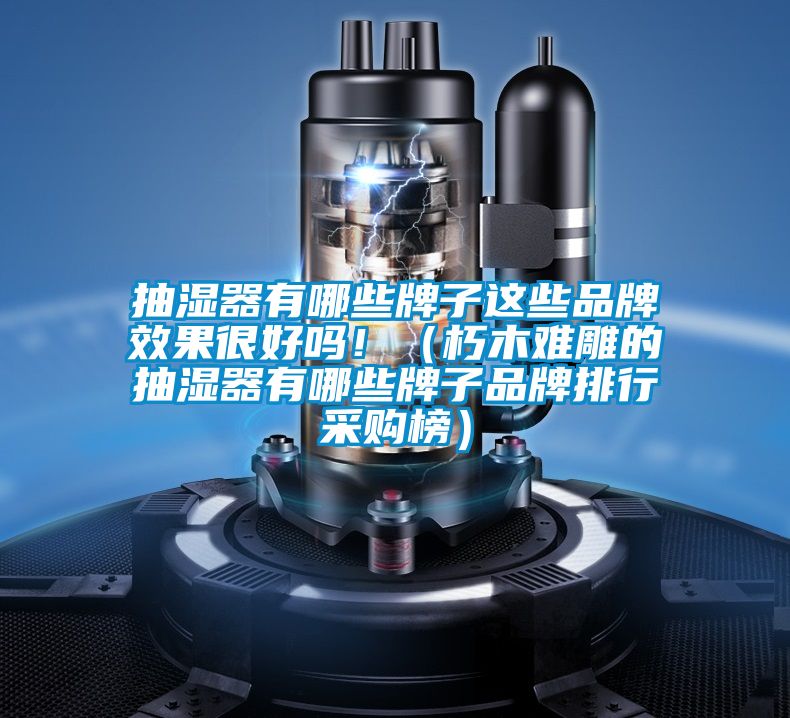 抽濕器有哪些牌子這些品牌效果很好嗎!(朽木難雕的抽濕器有哪些牌子品牌排行采購(gòu)榜)