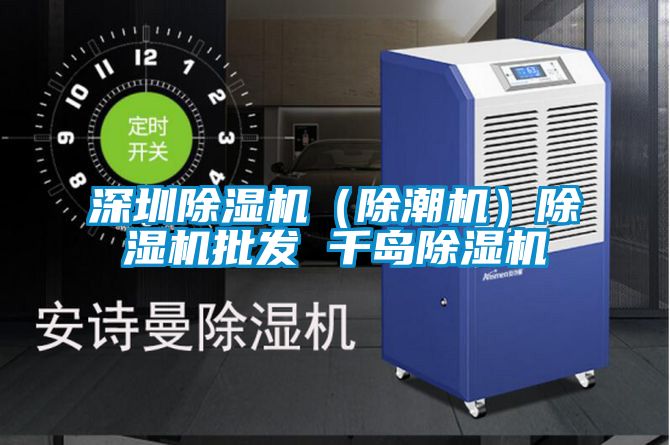 深圳除濕機(jī)(除潮機(jī))除濕機(jī)批發(fā) 千島除濕機(jī)
