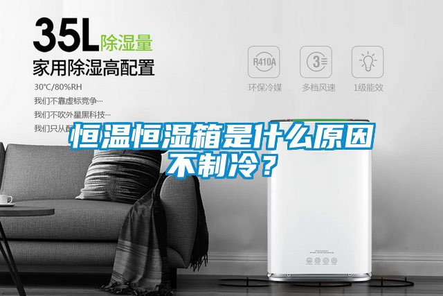 恒溫恒濕箱是什么原因不制冷？