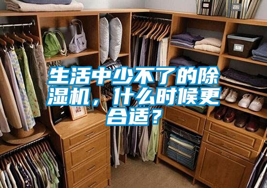 生活中少不了的除濕機,什么時候更合適?