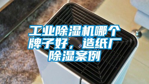工業除濕機哪個牌子好，造紙廠除濕案例