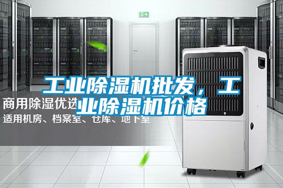 工業(yè)除濕機批發(fā)，工業(yè)除濕機價格