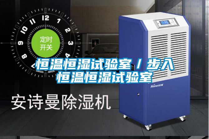恒溫恒濕試驗(yàn)室/步入恒溫恒濕試驗(yàn)室