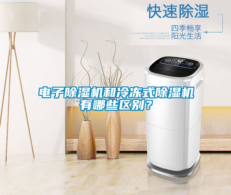 電子除濕機(jī)和冷凍式除濕機(jī)有哪些區(qū)別?