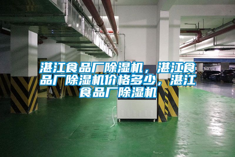湛江食品廠除濕機，湛江食品廠除濕機價格多少，湛江食品廠除濕機