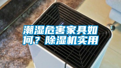 潮濕危害家具如何?除濕機實用