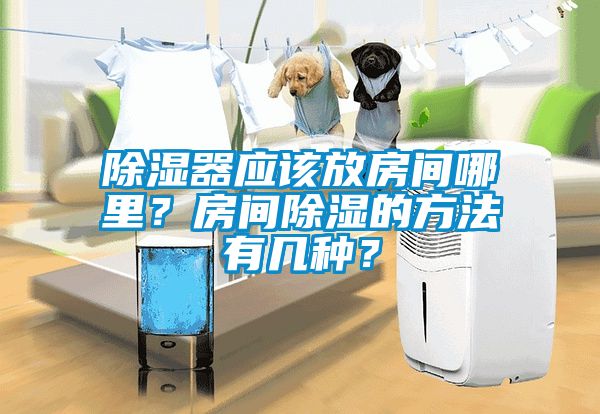 除濕器應(yīng)該放房間哪里？房間除濕的方法有幾種？