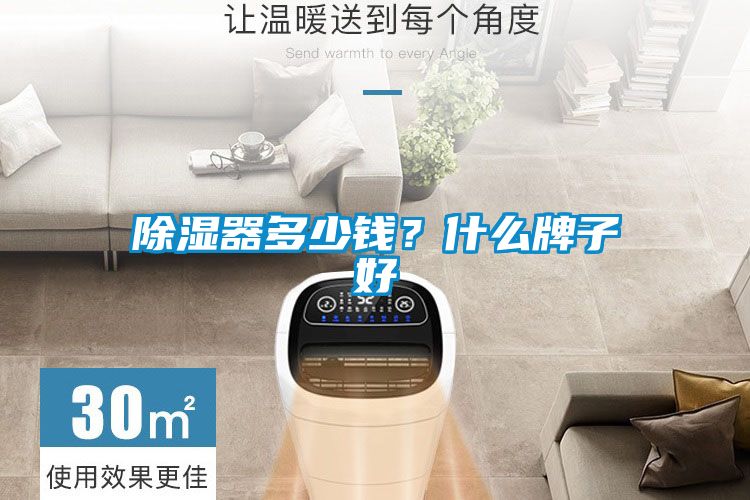 除濕器多少錢(qián)?什么牌子好