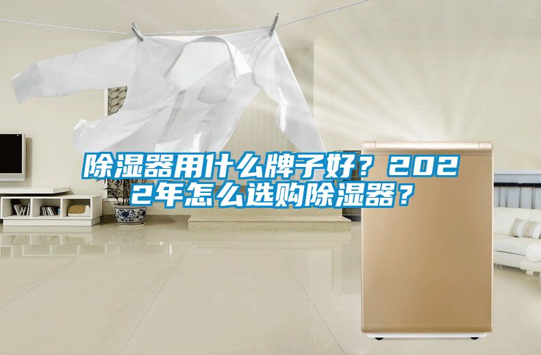 除濕器用什么牌子好？2022年怎么選購除濕器？