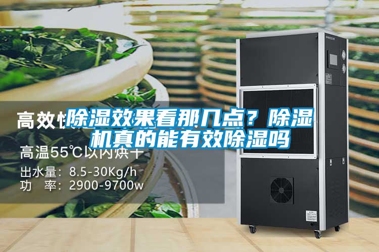 除濕效果看那幾點?除濕機真的能有效除濕嗎