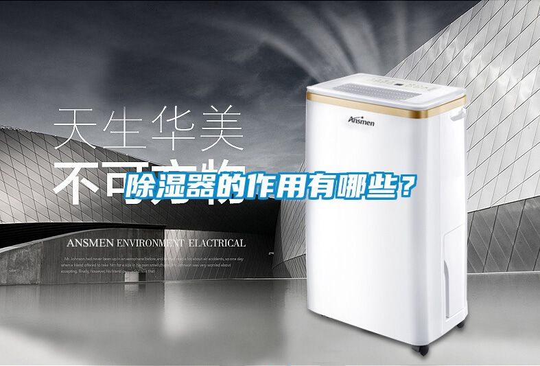 除濕器的作用有哪些?