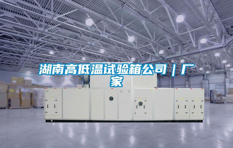 湖南高低溫試驗箱公司|廠家