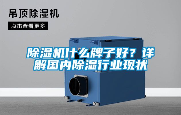 除濕機(jī)什么牌子好?詳解國內(nèi)除濕行業(yè)現(xiàn)狀