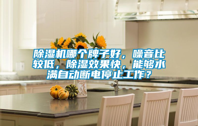 除濕機哪個牌子好，噪音比較低，除濕效果快，能夠水滿自動斷電停止工作？