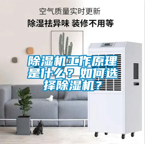 除濕機工作原理是什么?如何選擇除濕機?