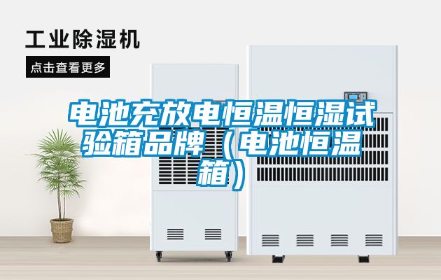 電池充放電恒溫恒濕試驗(yàn)箱品牌(電池恒溫箱)
