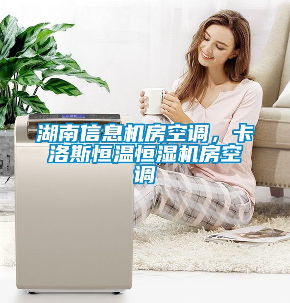 湖南信息機房空調，卡洛斯恒溫恒濕機房空調
