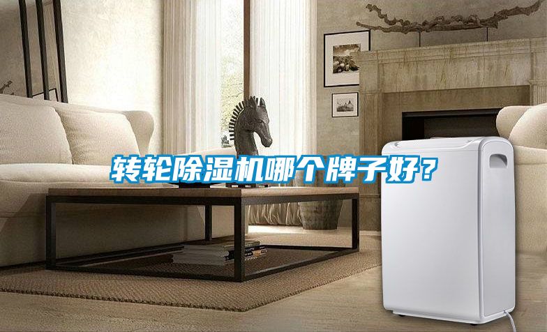 轉(zhuǎn)輪除濕機(jī)哪個(gè)牌子好?
