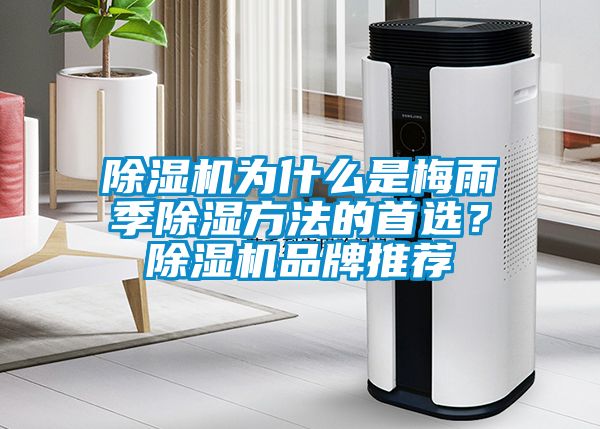 除濕機(jī)為什么是梅雨季除濕方法的首選?除濕機(jī)品牌推薦
