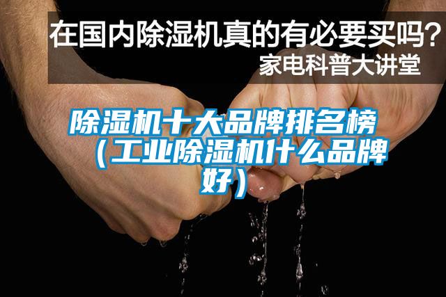 除濕機十大品牌排名榜(工業除濕機什么品牌好)