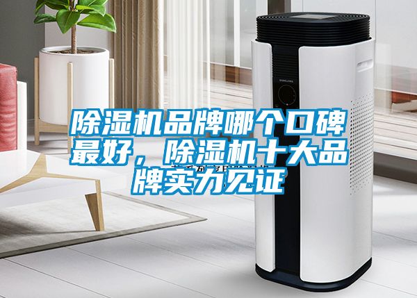 除濕機品牌哪個口碑最好，除濕機十大品牌實力見證