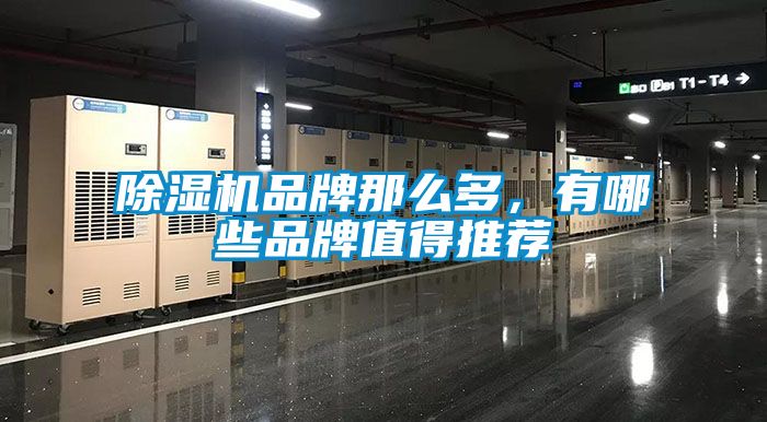 除濕機(jī)品牌那么多,有哪些品牌值得推薦