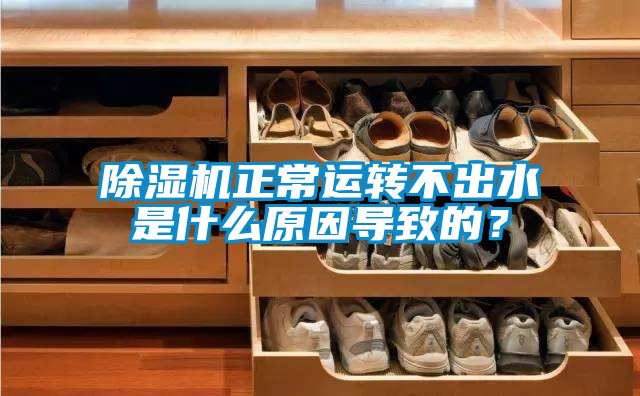 除濕機正常運轉不出水是什么原因導致的?