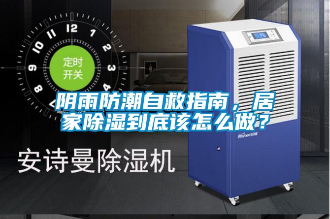陰雨防潮自救指南,居家除濕到底該怎么做?
