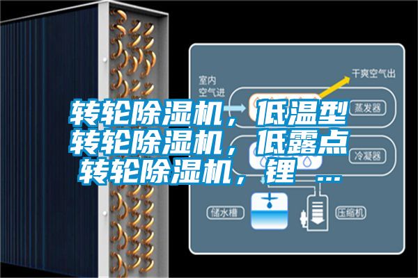 轉(zhuǎn)輪除濕機(jī),低溫型轉(zhuǎn)輪除濕機(jī),低露點轉(zhuǎn)輪除濕機(jī),鋰 ...