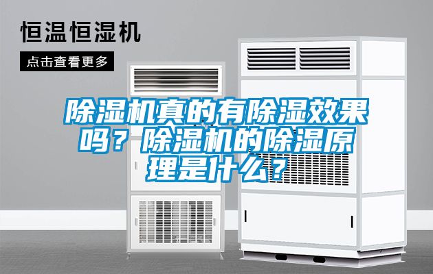 除濕機真的有除濕效果嗎?除濕機的除濕原理是什么?