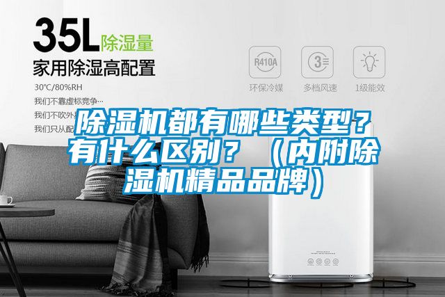 除濕機都有哪些類型?有什么區別?(內附除濕機精品品牌)