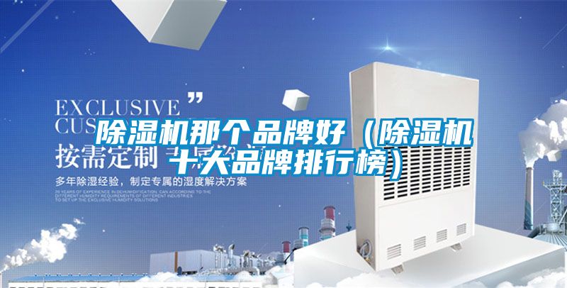 除濕機那個品牌好(除濕機十大品牌排行榜)